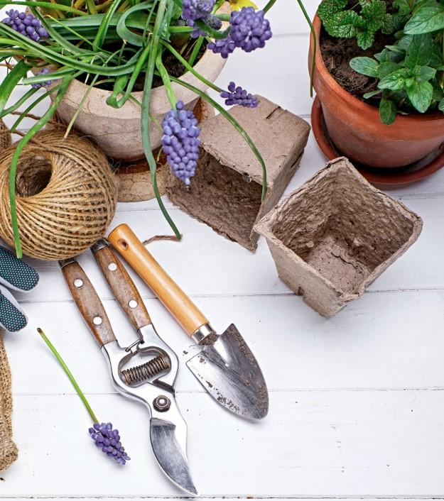 Master Gardeners of Manitowoc County at MPL!